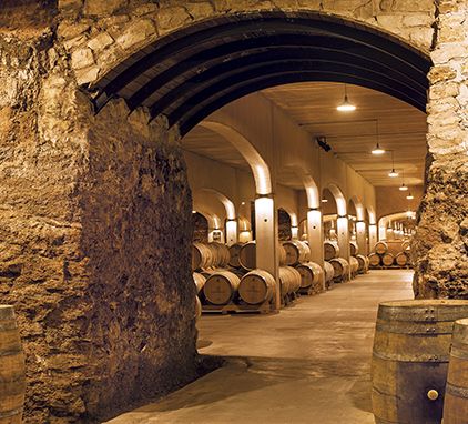 Enoturismo Rioja Alta Bodegas David Moreno